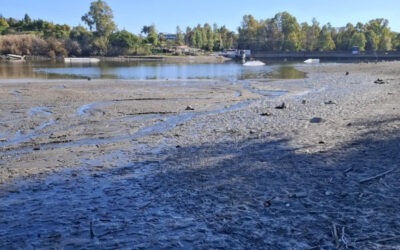 PACMA pide transparencia y protección ambiental ante los trabajos del embalse de Las Medranas