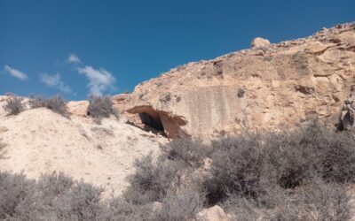 PACMA alerta de un posible colapso medioambiental de la provincia de Almería