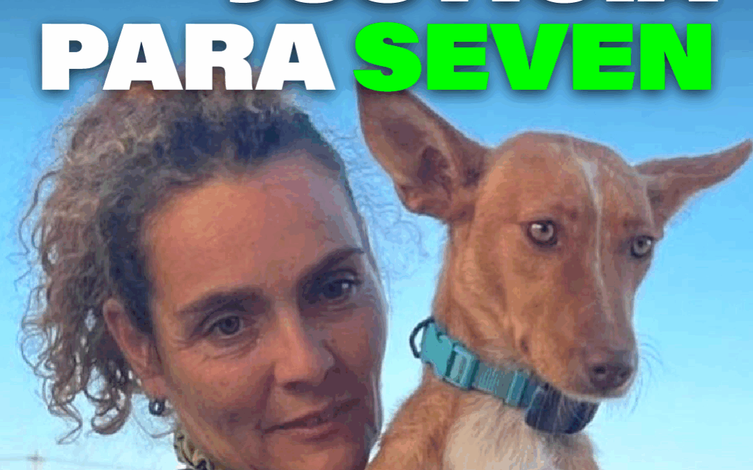 PACMA hace un llamamiento para encontrar al responsable del ahorcamiento de la podenca Seven en Calahorra