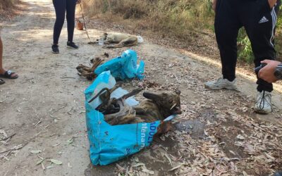 PACMA solicita la máxima condena para el cazador acusado de apalear y ahogar a dos galgos en el río Guadaíra y herir gravemente a un tercero en 2020