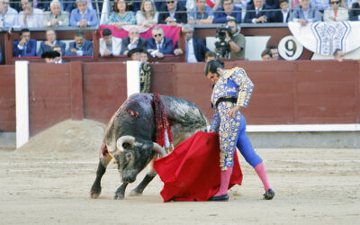 PACMA tilda de “aberración institucional” la concesión de la Medalla de Andalucía a la Cultura a Morante de la Puebla