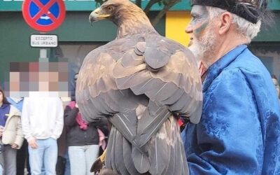El uso de un águila en el Carnaval de Badajoz provoca una denuncia pública de PACMA
