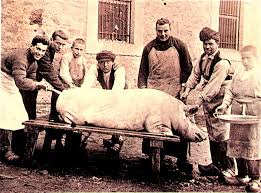 PACMA alerta de la posible ilegalidad de la “27ª Jornada de la Matanza” en Laguna de Duero y piden su cancelación