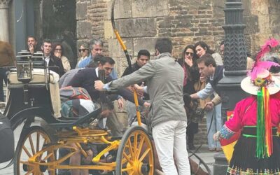 Participa en la consulta pública sobre la explotación de caballos en carruajes turísticos en Sevilla