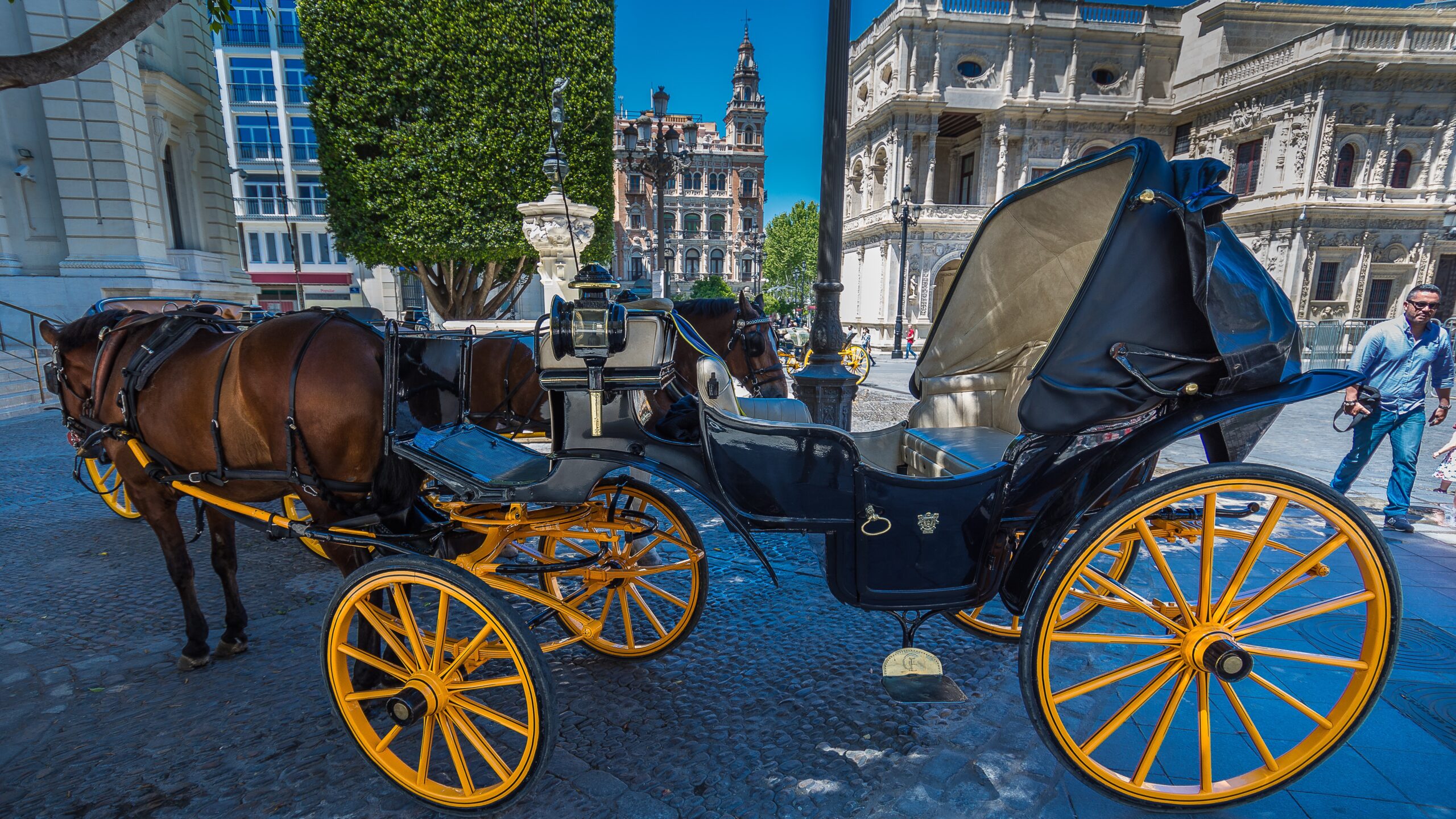 feria de sevilla – stock