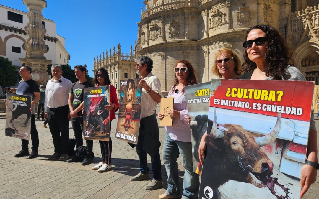 PACMA y Animal Héroes presentan una carta al Arzobispo de Sevilla pidiéndole posicionamiento respecto a la tauromaquia