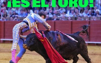 PACMA sobre la cogida a Roca Rey: «El toro es la víctima»