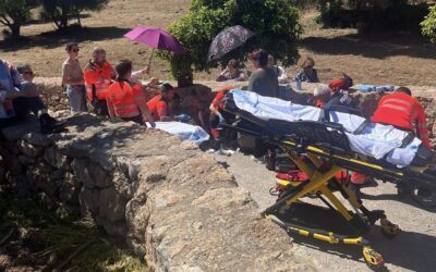 PACMA condena el accidente de un carro tirado por caballo en Santa Eulària y estudia acciones legales