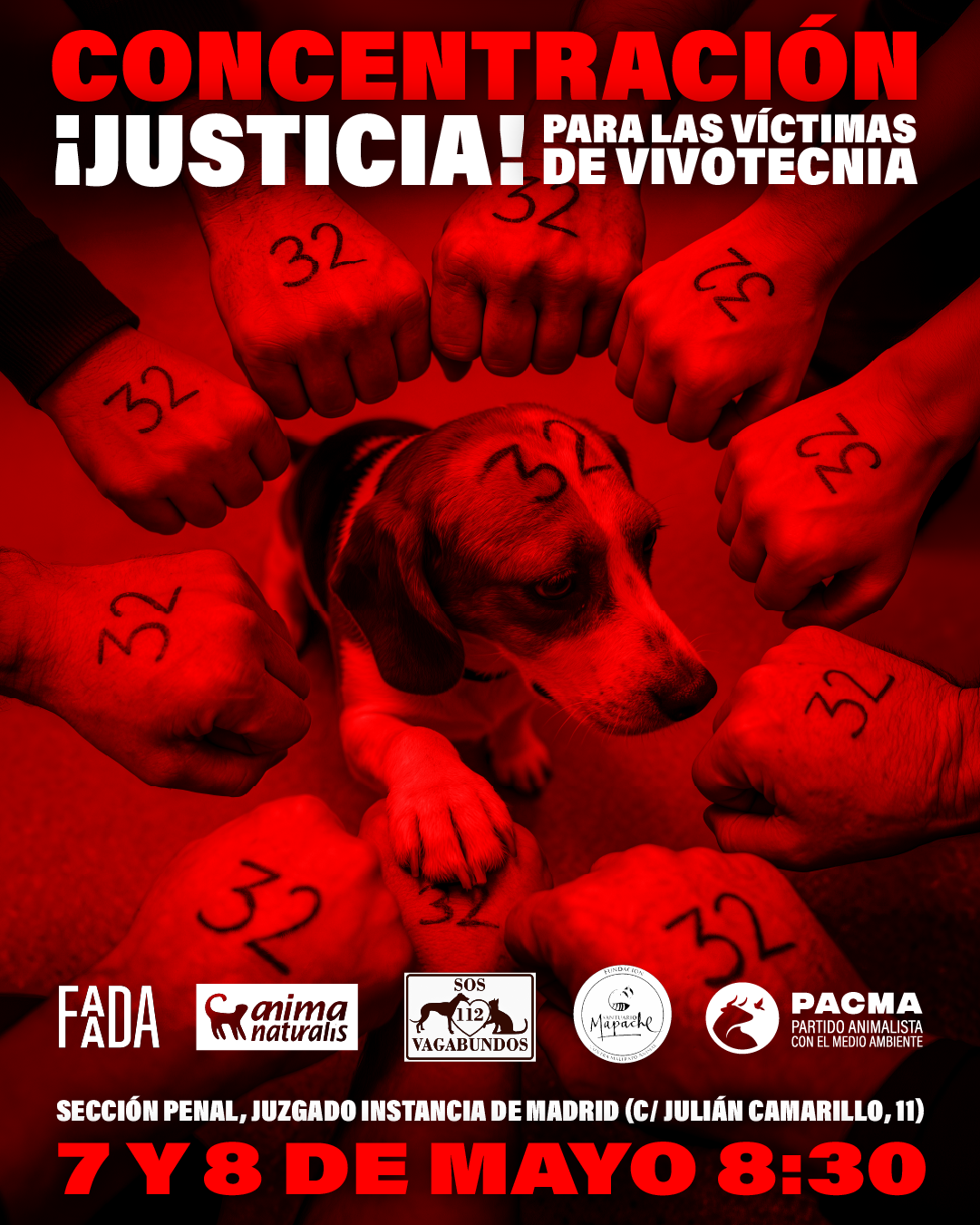 Justicia VIVOTECNIA FASE 2