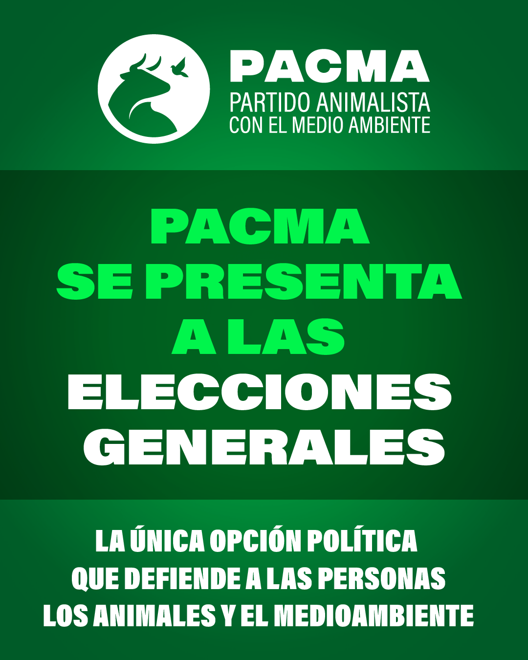 PACMA SE PRESENTA EEGG_feed copia 3